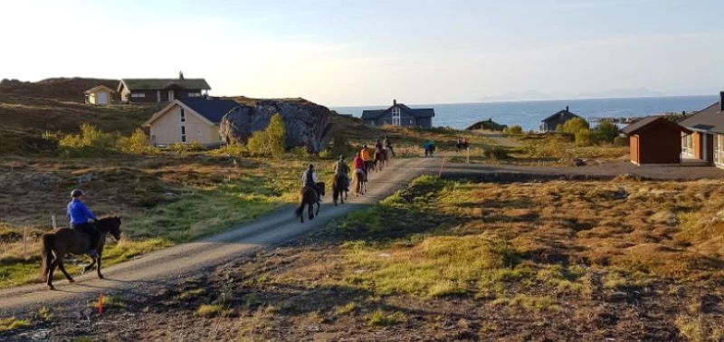 Lofoten bei einer Reittour auf Wikingerpferden erkunden