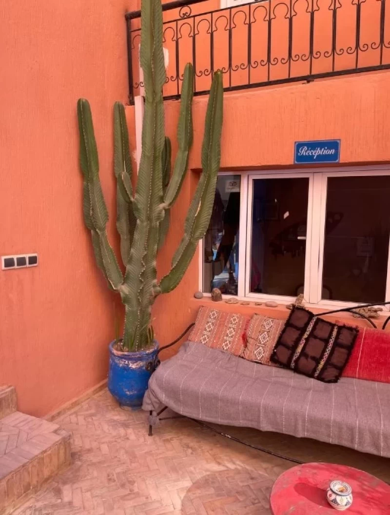 Wellen, Sonne & gute Vibes – dein Surfurlaub am Meer