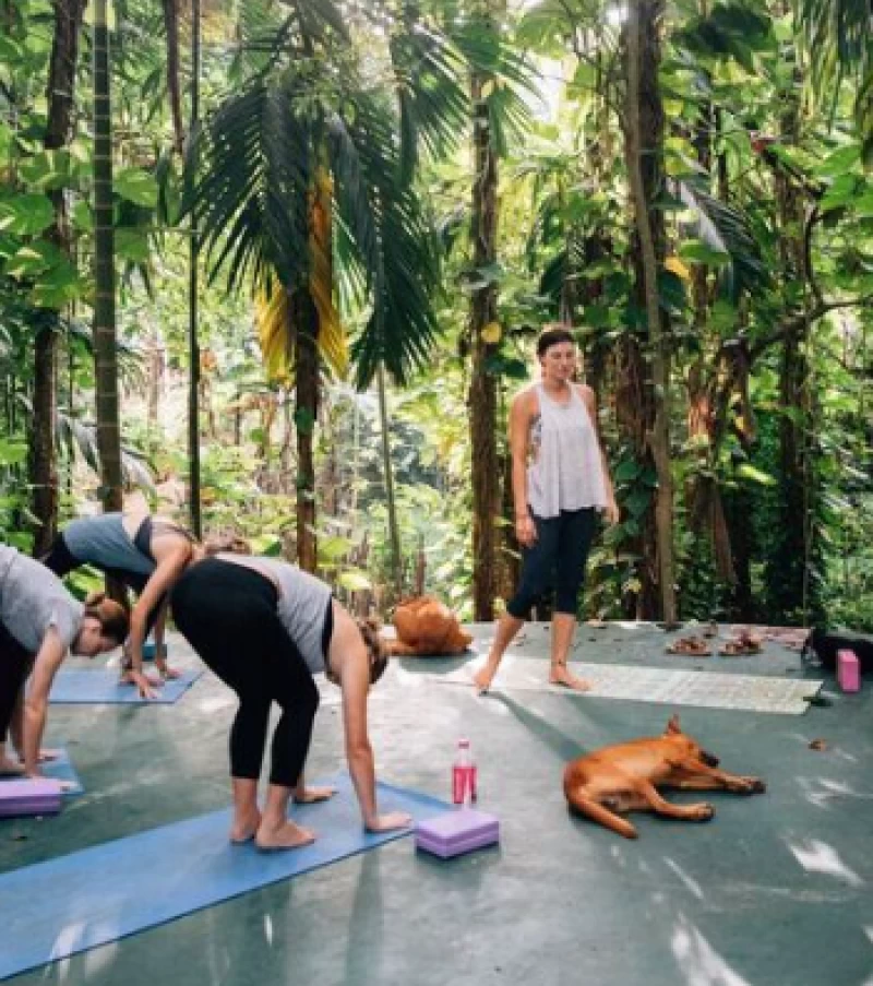 Yoga-Urlaub in Sri Lanka:  Lange Strände und wohltuende grüne Natur