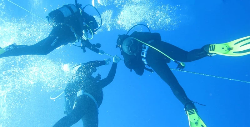 Tauchen an der Algarve: Erkunde die faszinierende Unterwasserwelt
