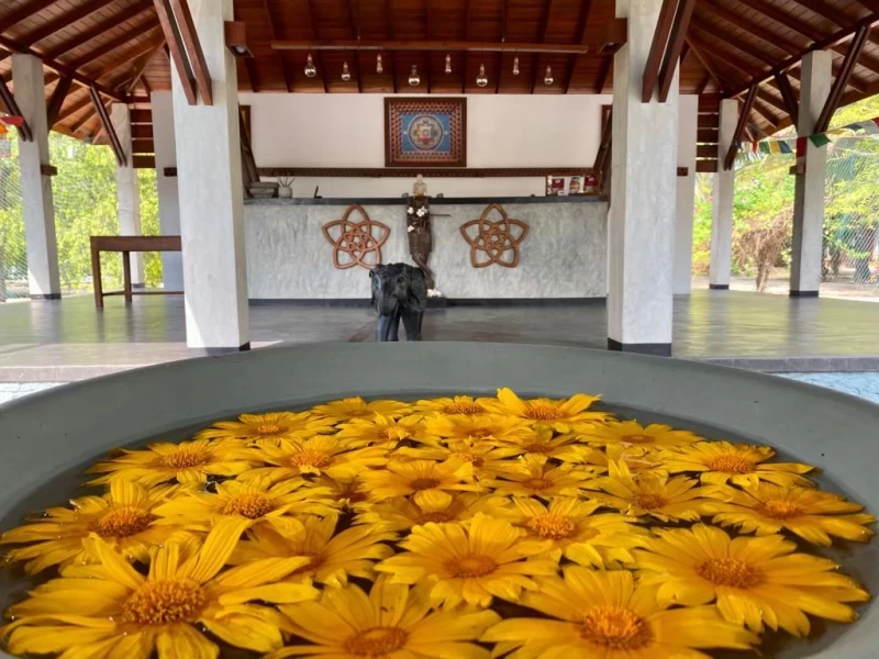 Ayurveda-Retreat: Deine Reise zu Gesundheit und innerer Balance