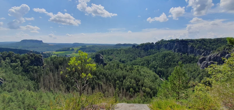 Yoga, Wandern und Rohkost-Detox in der Sächsischen Schweiz