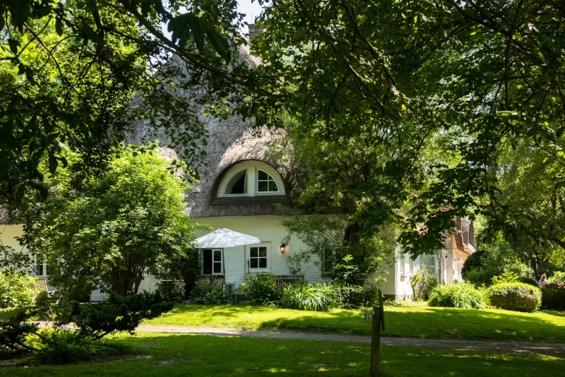 Yoga & Nordic Walking für Frauen: Ein perfektes Duo für Körper & Geist