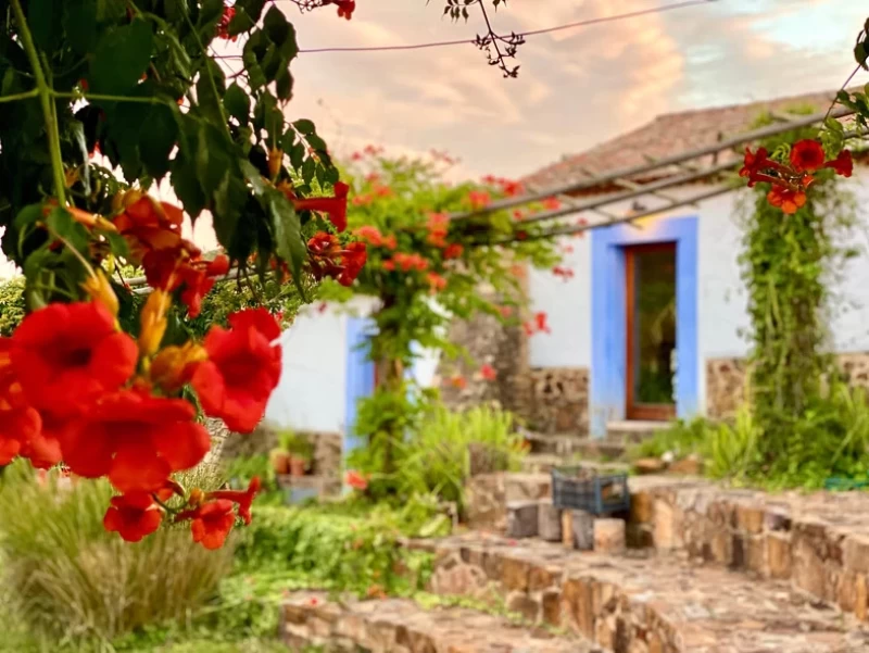 Yoga und Feminine Embodiment in der magischen Natur Portugals