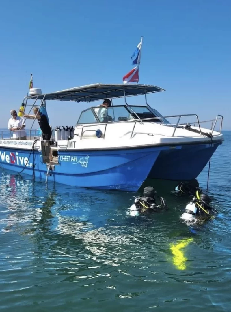 Tauchen an der Algarve: Erkunde die faszinierende Unterwasserwelt