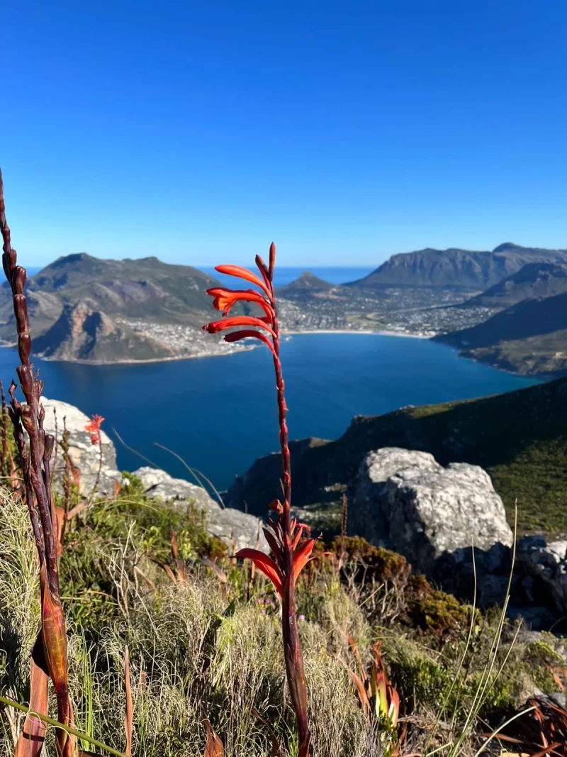 Südafrika Yoga Rundreise - Erlebe ein Abenteuer!