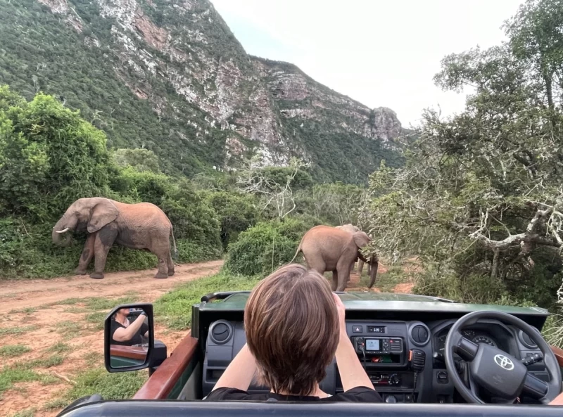 Südafrika Yoga Rundreise - Erlebe ein Abenteuer!