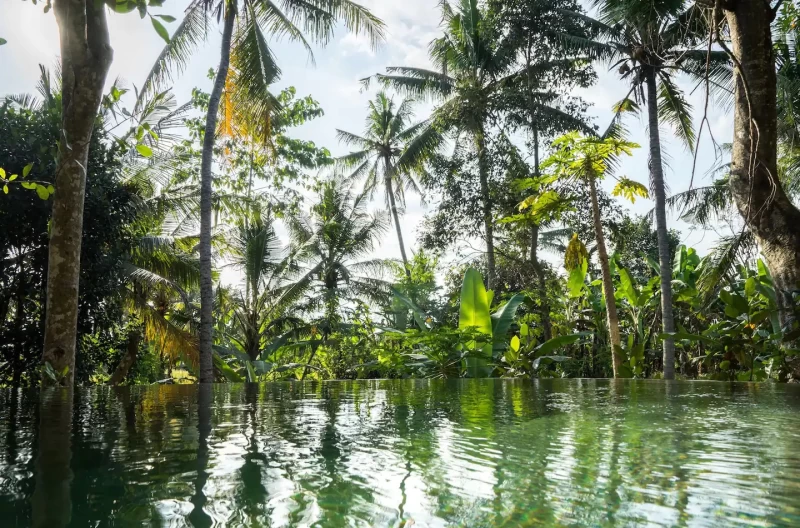 "Embody your Truth"-Retreat auf Bali - Felsenfest mit dir verbunden