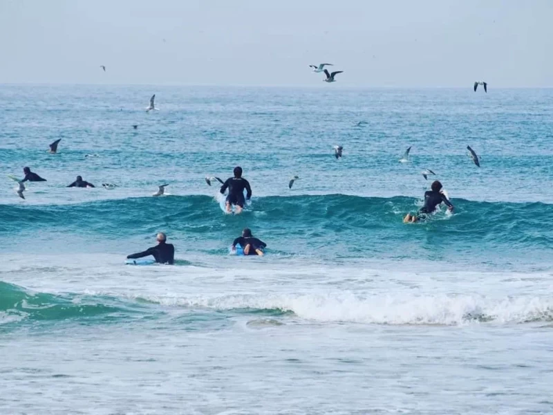 Erlebe dein Surf-Abenteuer an der Costa da Caparica