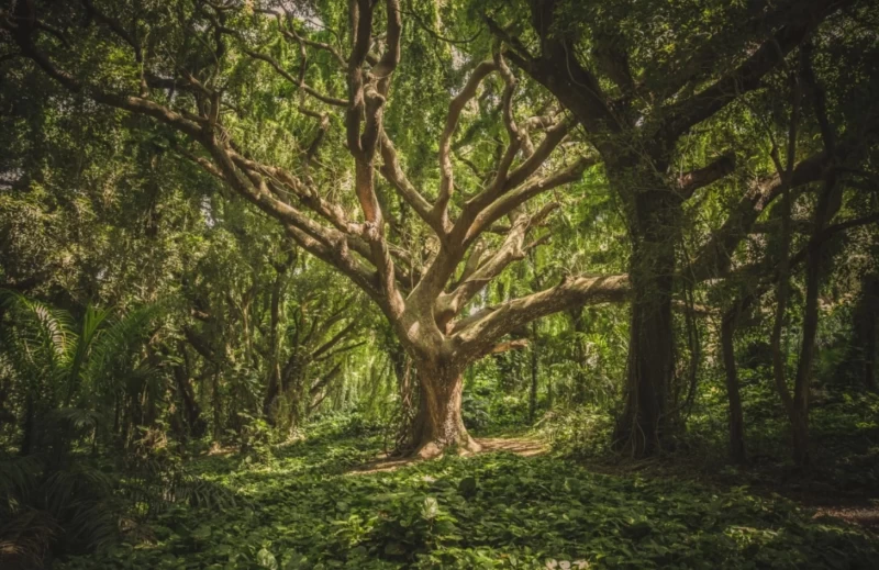 Männlichkeit neu leben – Ein Retreat für Herz, Mut und Präsenz