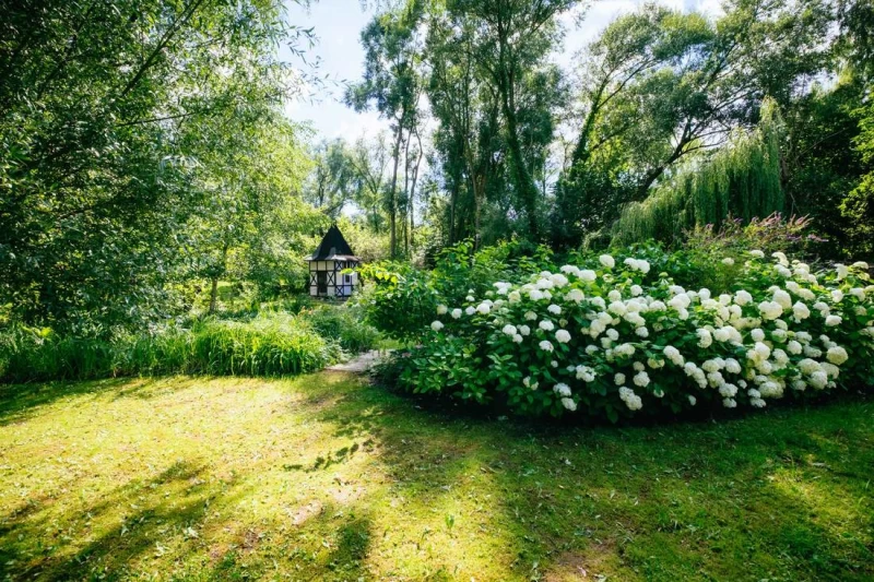 Finde deine Balance- Lächeln des Glücks - Dein Yoga und Klang Retreat