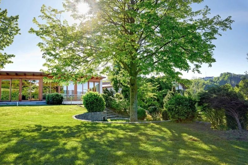 Panchakarma Kur Light: Sanfter Einstieg in die Königin des Ayurveda