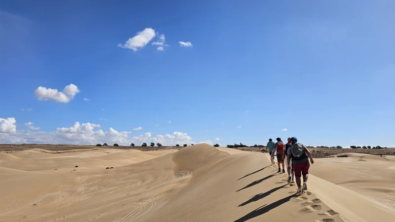Wüste trifft Küste: Yoga-Wander-Retreat im Nationalpark