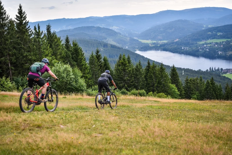 Yoga-Wochenende im Schwarzwald: Ruhe, Entspannung und Erneuerung