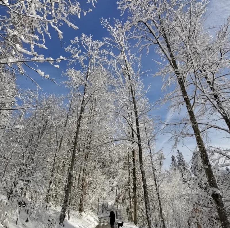 Yoga- und Entspannungs-Retreat in den Tiroler Alpen
