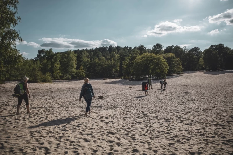 Boulderurlaub in Fontainebleau: Erlebe das Boulderparadies hautnah!
