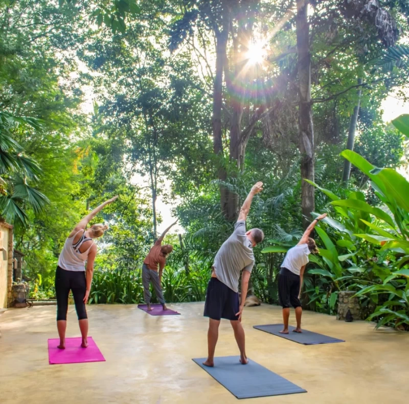 Exklusives Yoga- & Wellness-Resort im grünen Herzen Sri Lankas