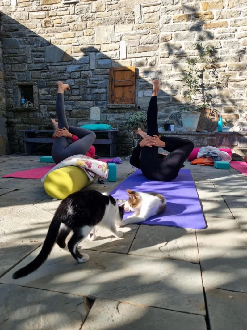 Yoga-Retreat im Vjosa-Nationalpark in Albanien