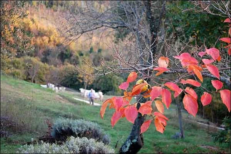 Individuelles Stille Retreat im italienischen Assisi
