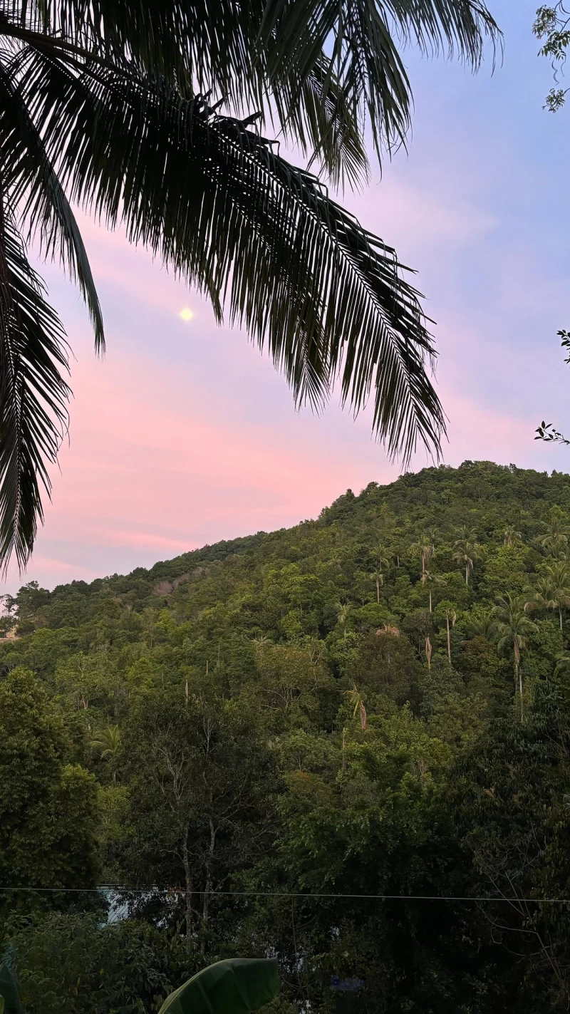 Yoga- & Detox-Retreat im Dschungel: Etabliere einen neuen Lebensstil