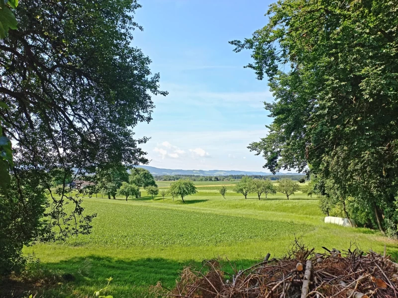 Begegne deinem wahren Selbst: Stilles Yoga Retreat im Ashram