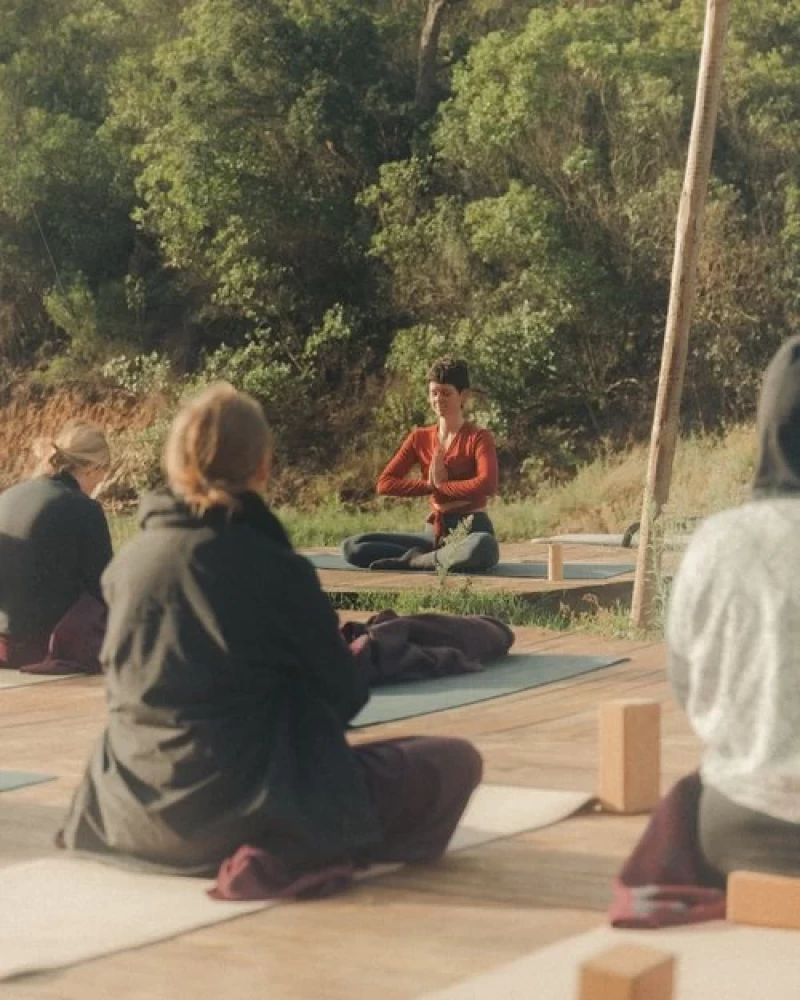 Back to You - Yoga, Kunst und Nature Retreat in Cara Creek Eco Lodge