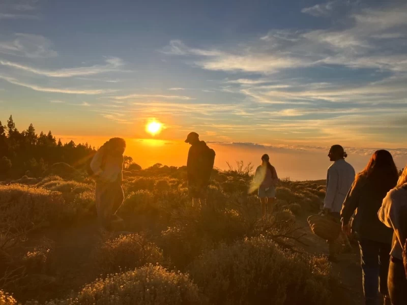 Roots to the Heart – Atem & Wandel auf Teneriffa