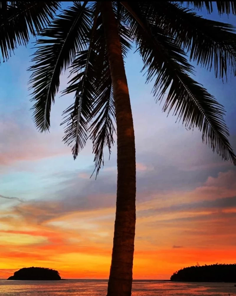 Teach From the Heat – 500h Hot Yoga Ausbildung auf Phuket