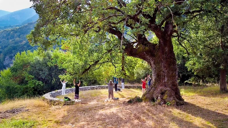 Qigong Urlaub in Zagori - Zwischen Schluchten & smaragdgrünen Flüssen