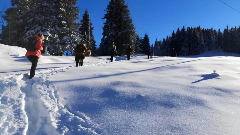 Mindful Mountain: Meditation und Winterwandern im Kleinwalsertal