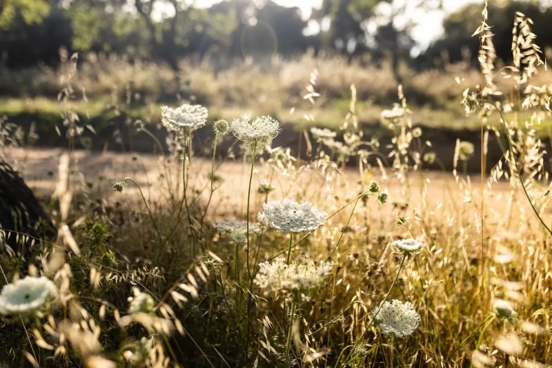 Spätsommersonne und Entspannung: Yoga-Retreat auf Sardinien