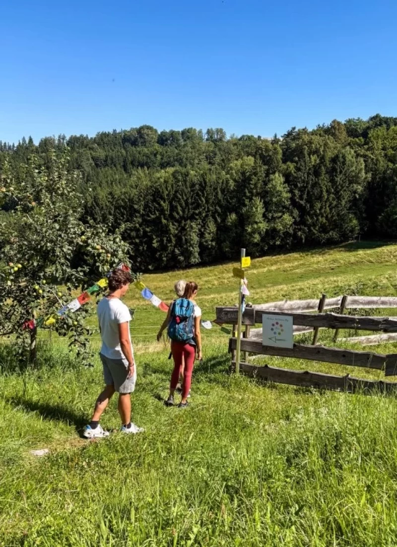 Yoga, Wandern und Alpaka-Abenteuer in malerischer Umgebung