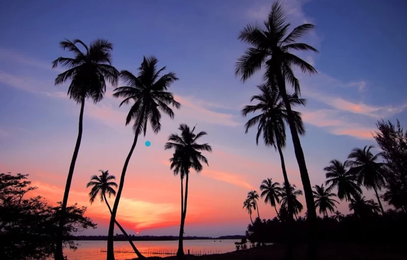 Zwischen Strand und Hostel-Vibes: Surfen & Yoga in Sri Lanka