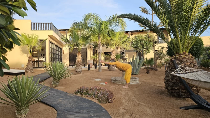 Wüste trifft Küste: Yoga-Wander-Retreat im Nationalpark