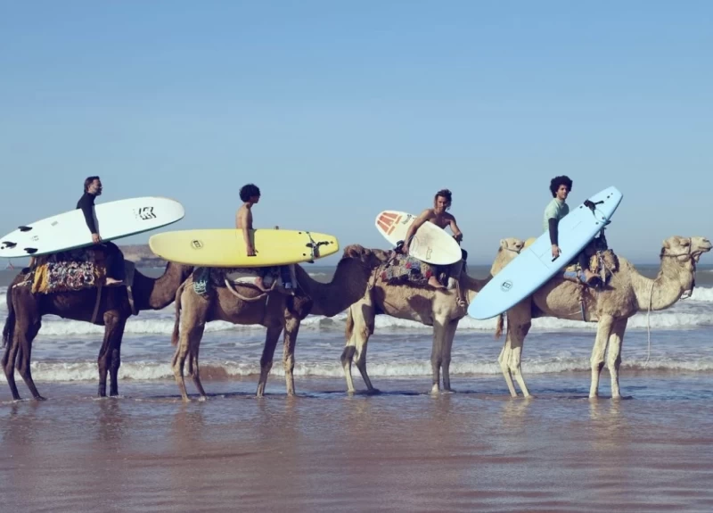 Surfen, Sonne und Leben in der Medina: Essaouira ruft!