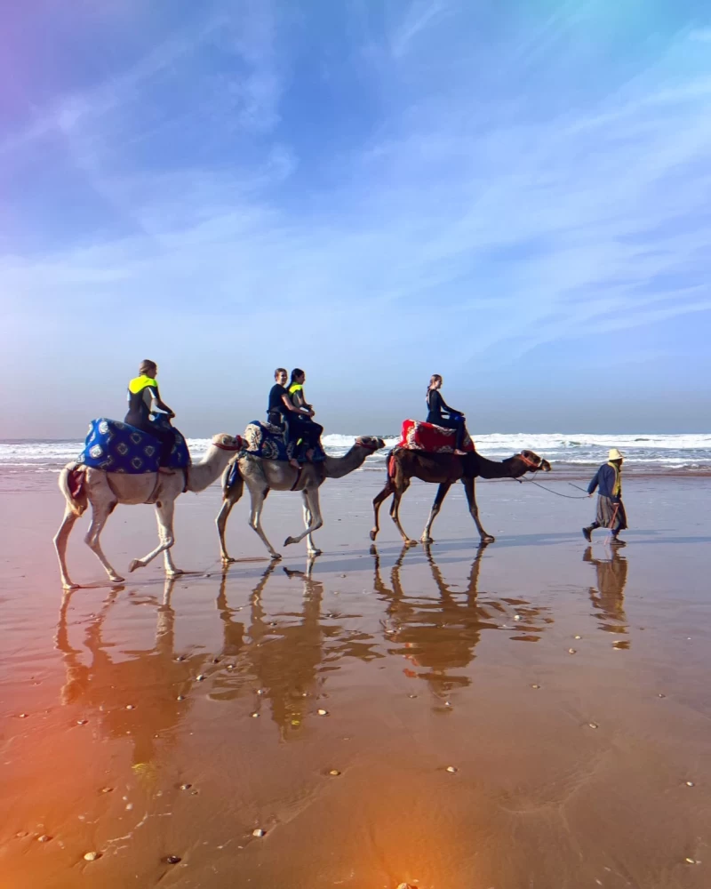 Dein ultimatives Marokko Erlebnis: Surfen, Yoga, Sandboarding & mehr!