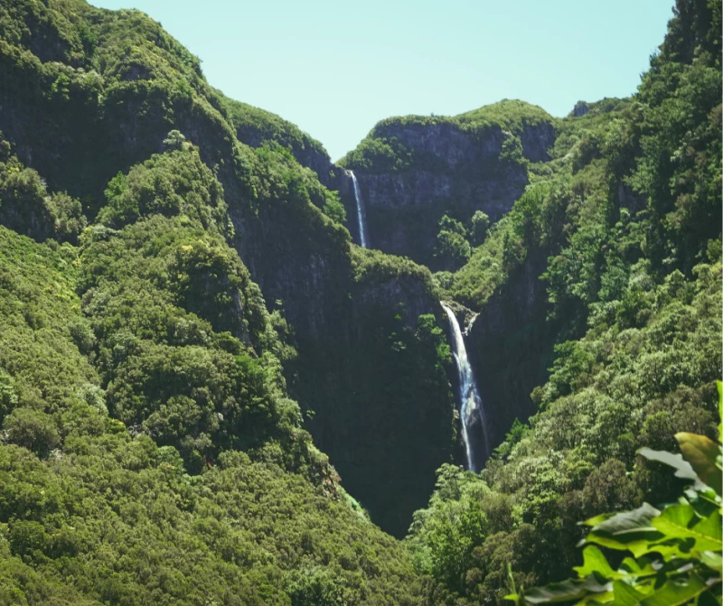 Yoga und Wandern auf der Blumeninsel Madeira