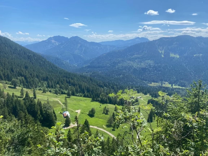 Wochenendretreat mit Yoga, Wandern & Waldbaden auf der Oberen Firstalm
