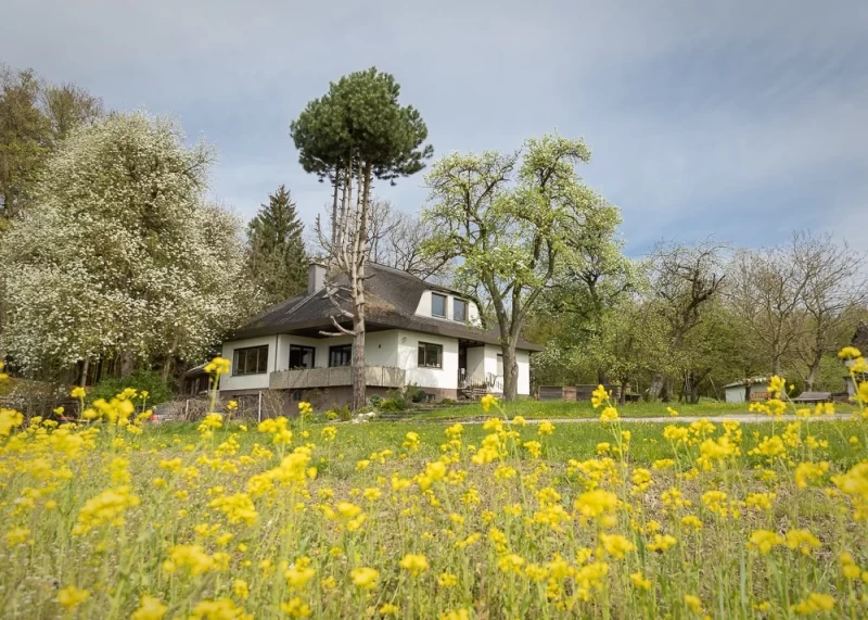 Begegne deinem wahren Selbst: Stilles Yoga Retreat im Ashram