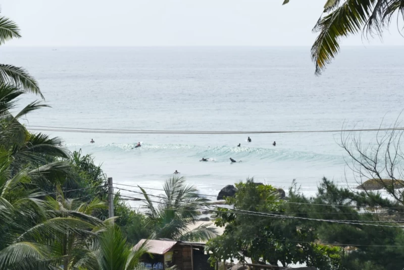 Surfurlaub in Midigama: Erlebe das authentische Sri Lanka
