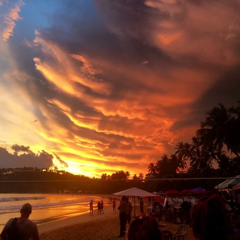 Surfcamp in Weligama: Surfen, Chillen & Feiern direkt am Strand