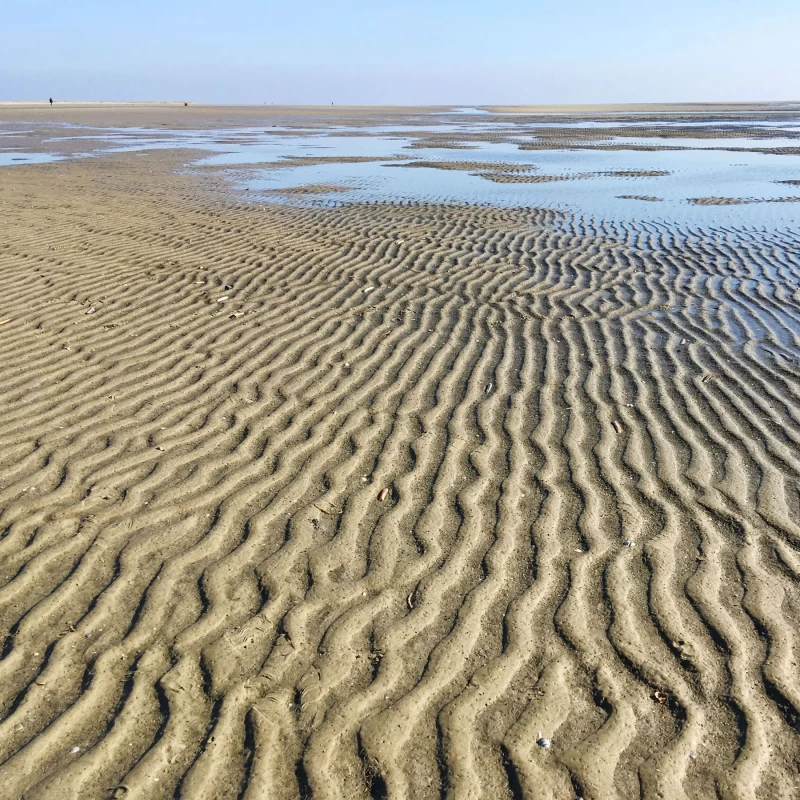 Tief einatmen & Stress loslassen: Dein Yoga-Retreat an der Nordsee