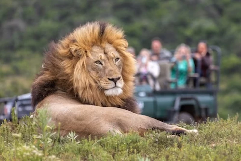 Südafrika Yoga Rundreise - Erlebe ein Abenteuer!