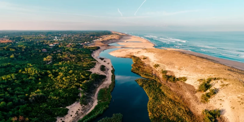 Chilliges Surfcamp inmitten der Pinienwälder von Moliets