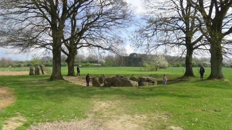 Schritt in die Stille: Veganes Nâm Stille-Meditations-Retreat