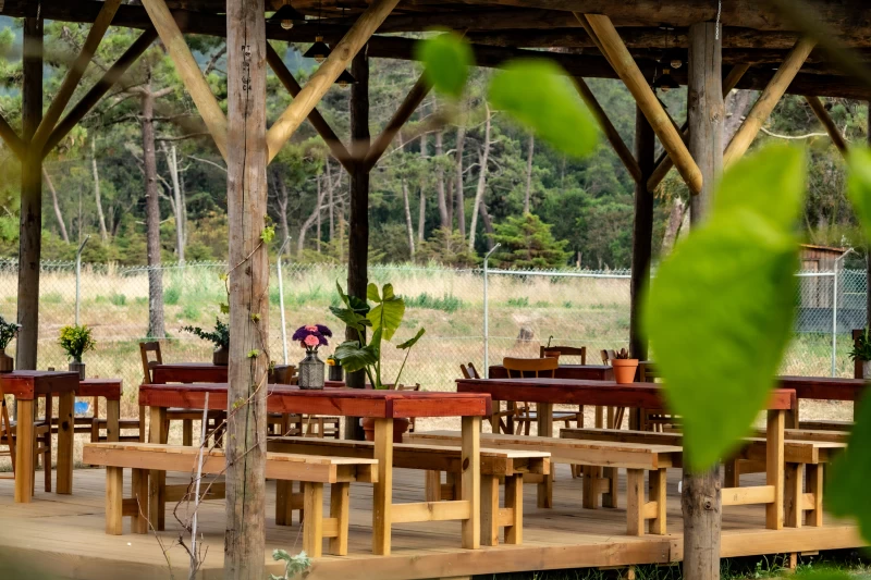 Entspanntes Surfcamp mit authentischem portugiesischem Charme