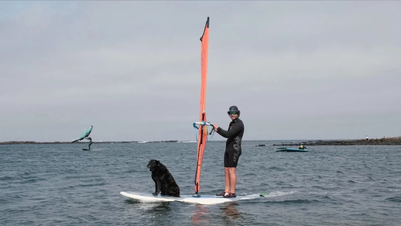 Windsurf Camp auf Fuerteventura: Wo die Sonne fast jeden Tag scheint!