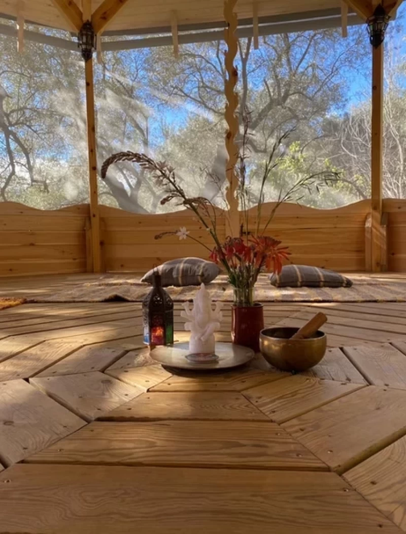 Yoga im Zeichen der Elemente: Vertiefende Praxis und Zertifikat