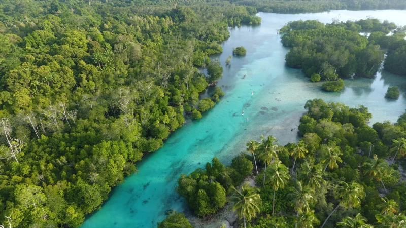 Surf-Abenteuer in luxuriöser Villa im Wellenparadies auf den Mentawais