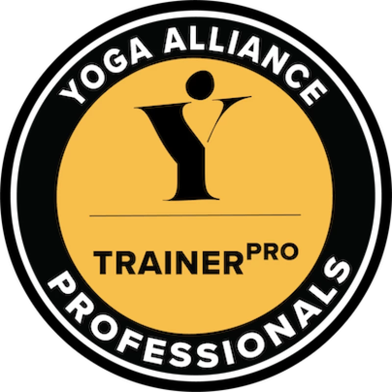 200h Ashtanga Vinyasa Yoga Teacher Training: Gehe deinen Yoga Pfad
